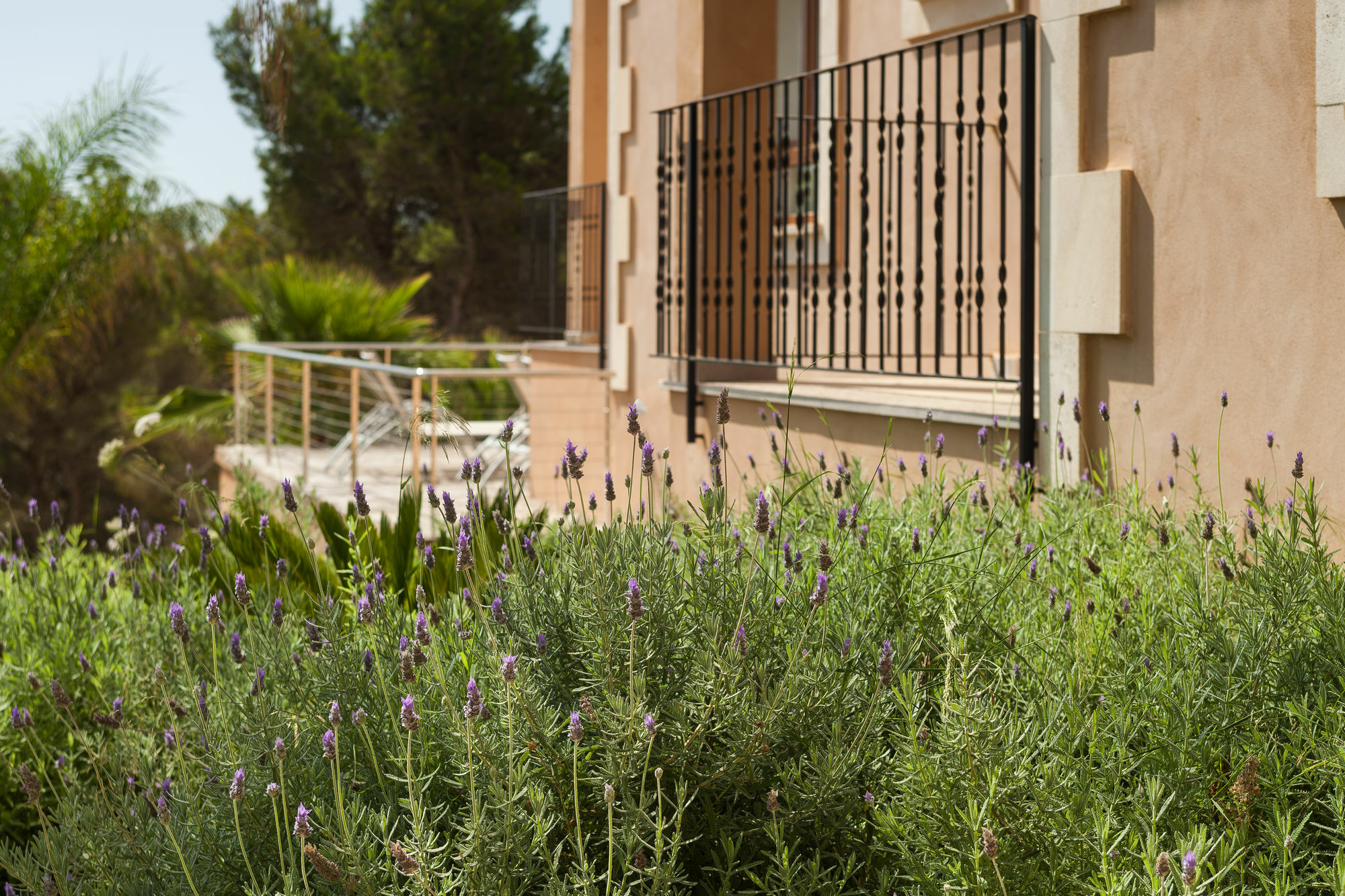 Villa Bou Ros Finca Es Foners Felanitx